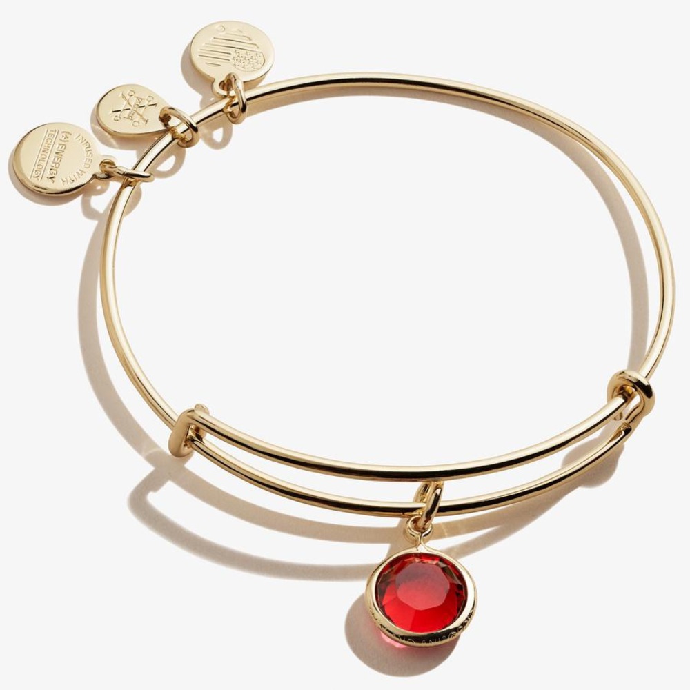Alex and Ani Scarlet Birthstone Bangle, January